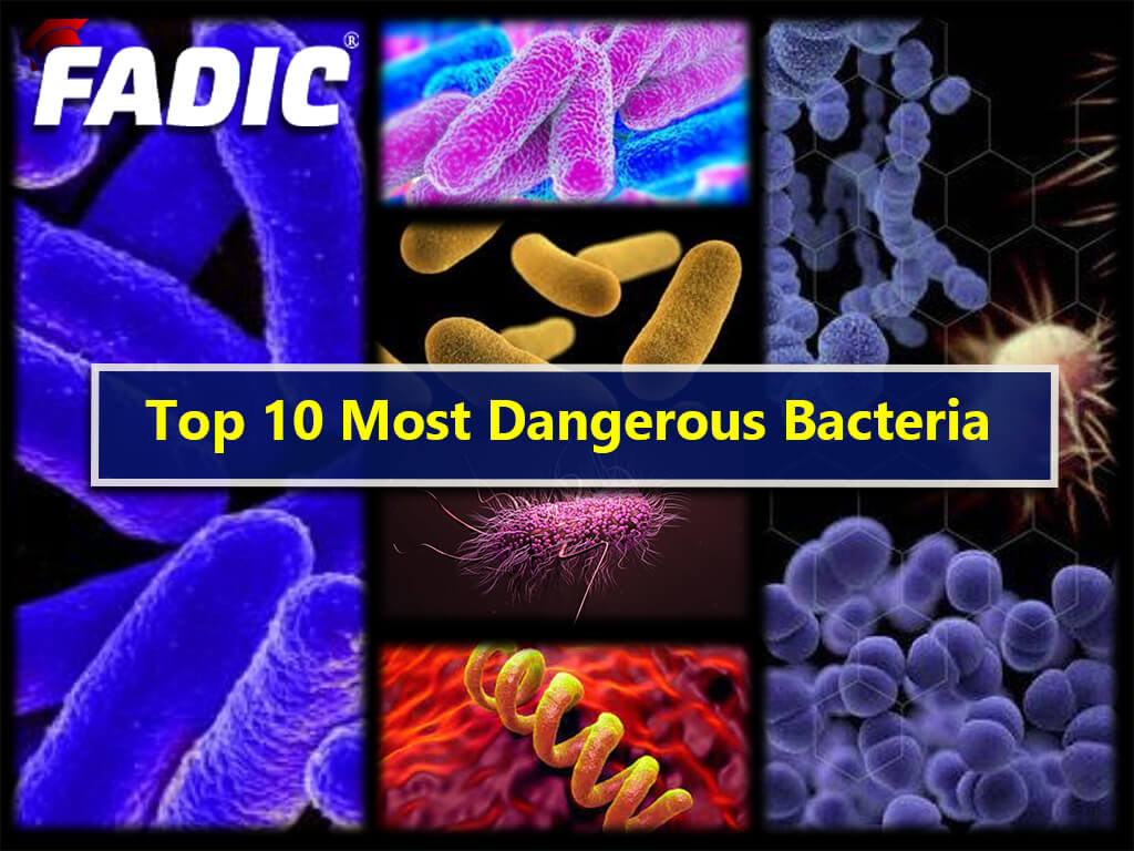 Top 10 Most Dangerous Bacteria on Earth | Deadly Bacteria