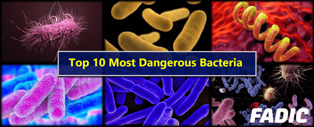 Top 10 Dangerous Bacteria On Earth And Antimicrobial Stewardship