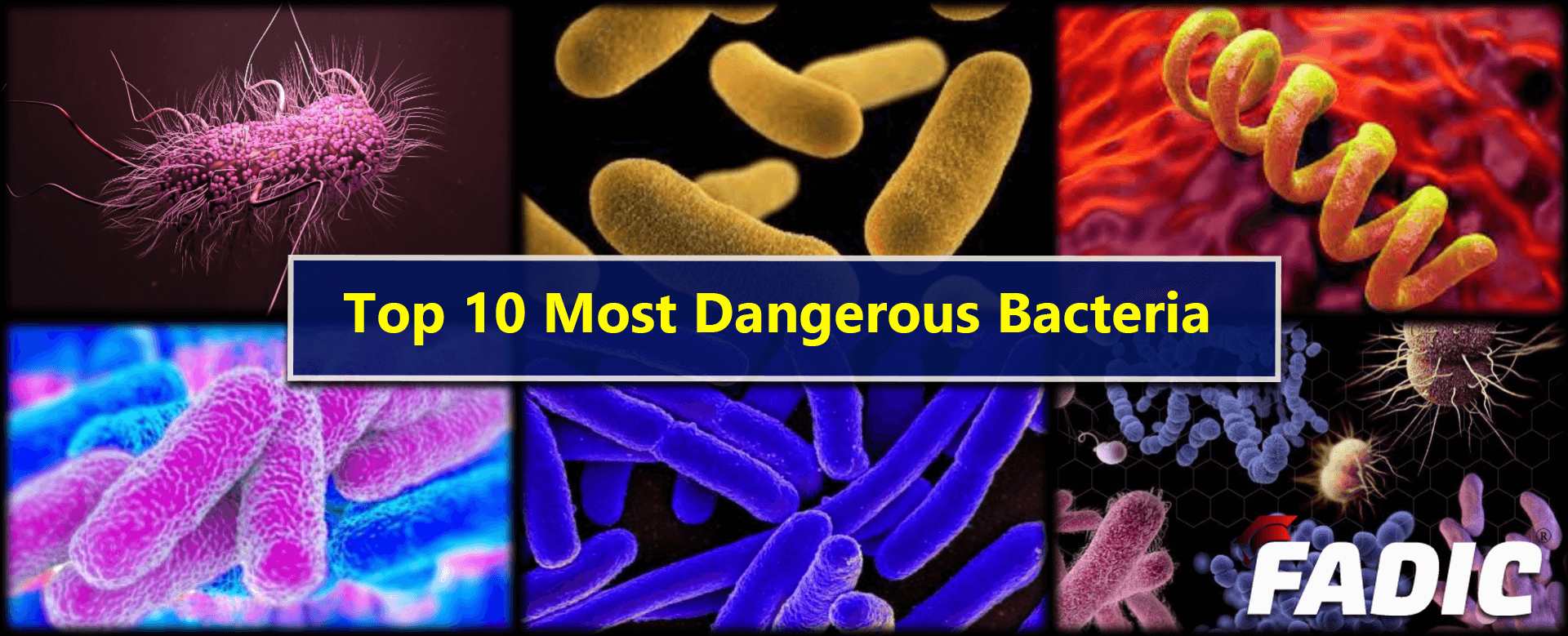 harmful microorganisms with names