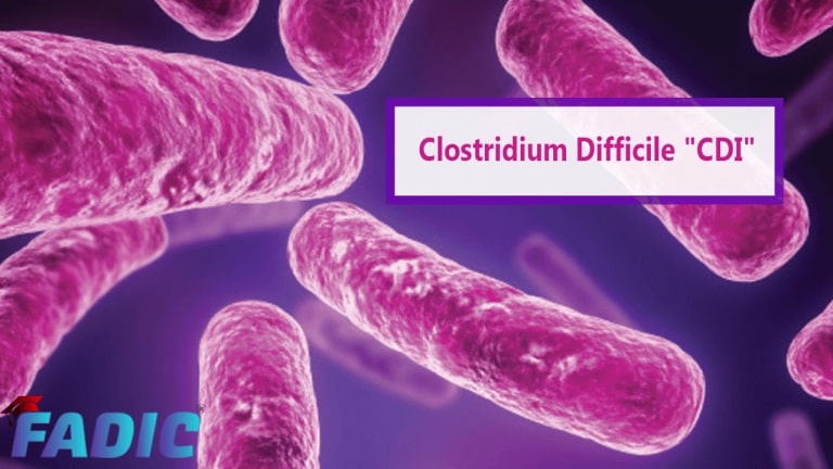 clostridium difficile spore stain