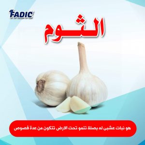 الغذاء و الدواء