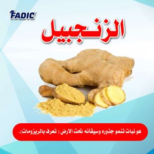 الغذاء و الدواء