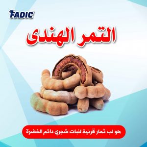 الغذاء و الدواء