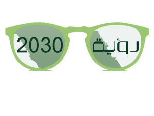 Pharmacy Vision 2030