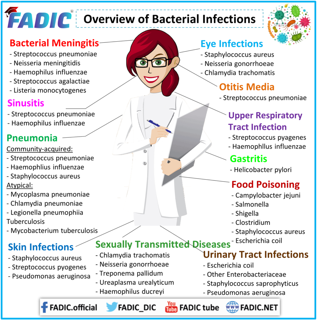 Fadic Bacteria Course, Epidemiology, And Pharmacotherapy