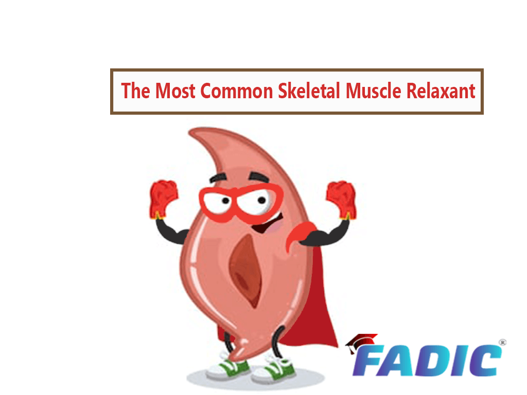 https://fadic.net/wp-content/uploads/2019/03/skeletal-muscles-Eng-cover-1.png