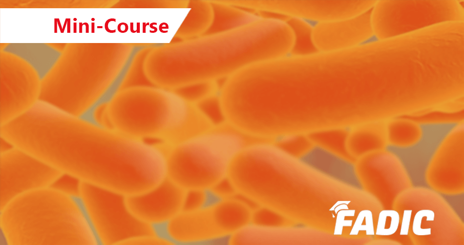 Clostridioides Difficile Infection (CDI) Prevention Program