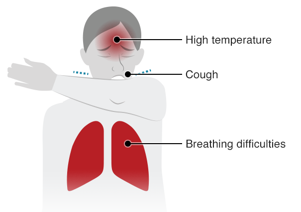 فيروس كورونا