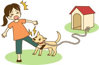 الاسعافات الأولية