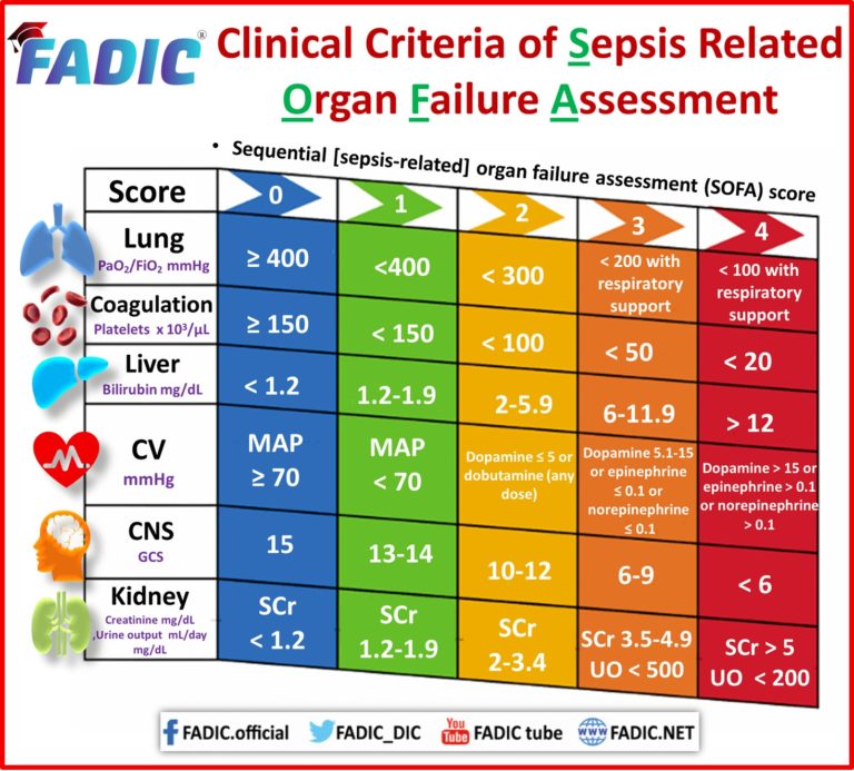 Sepsis Updates in the Management of Sepsis and Septic Shock FADIC