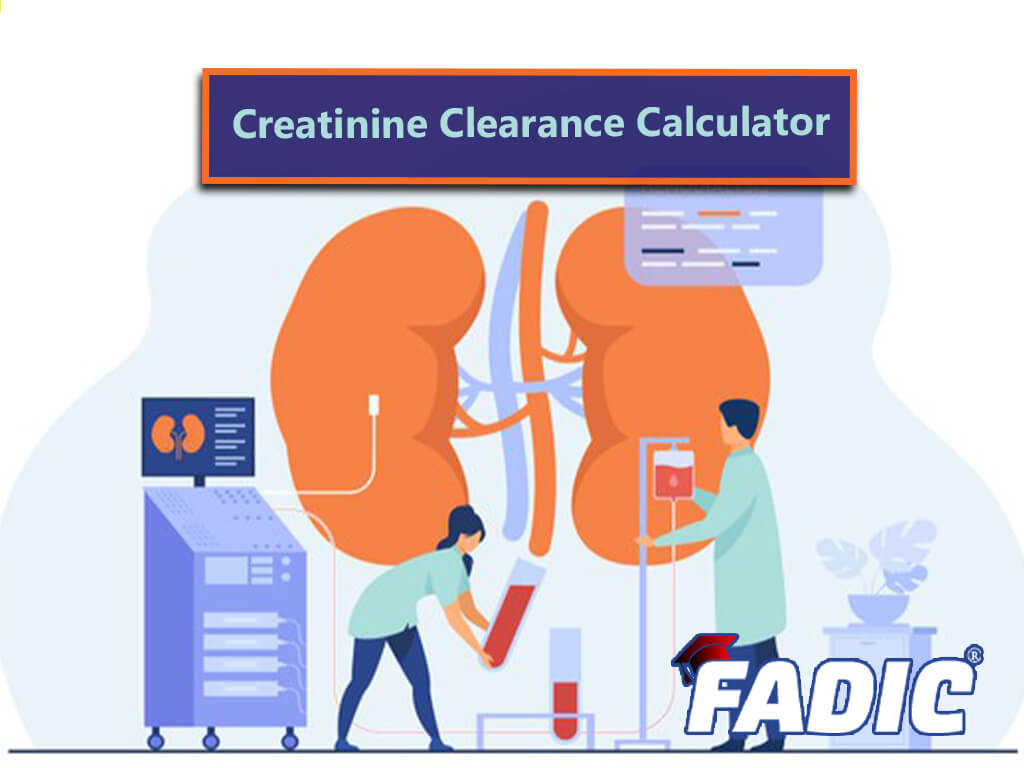 creatinine clearance pcalc