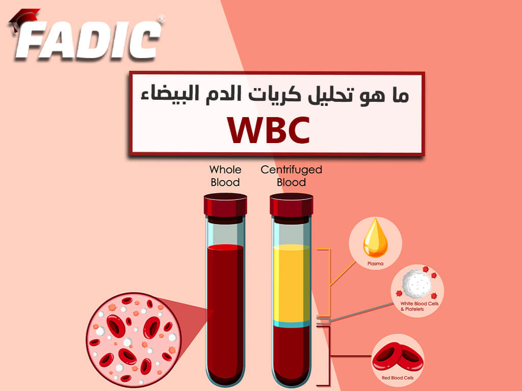 wbc تحليل كريات الدم البيضاء