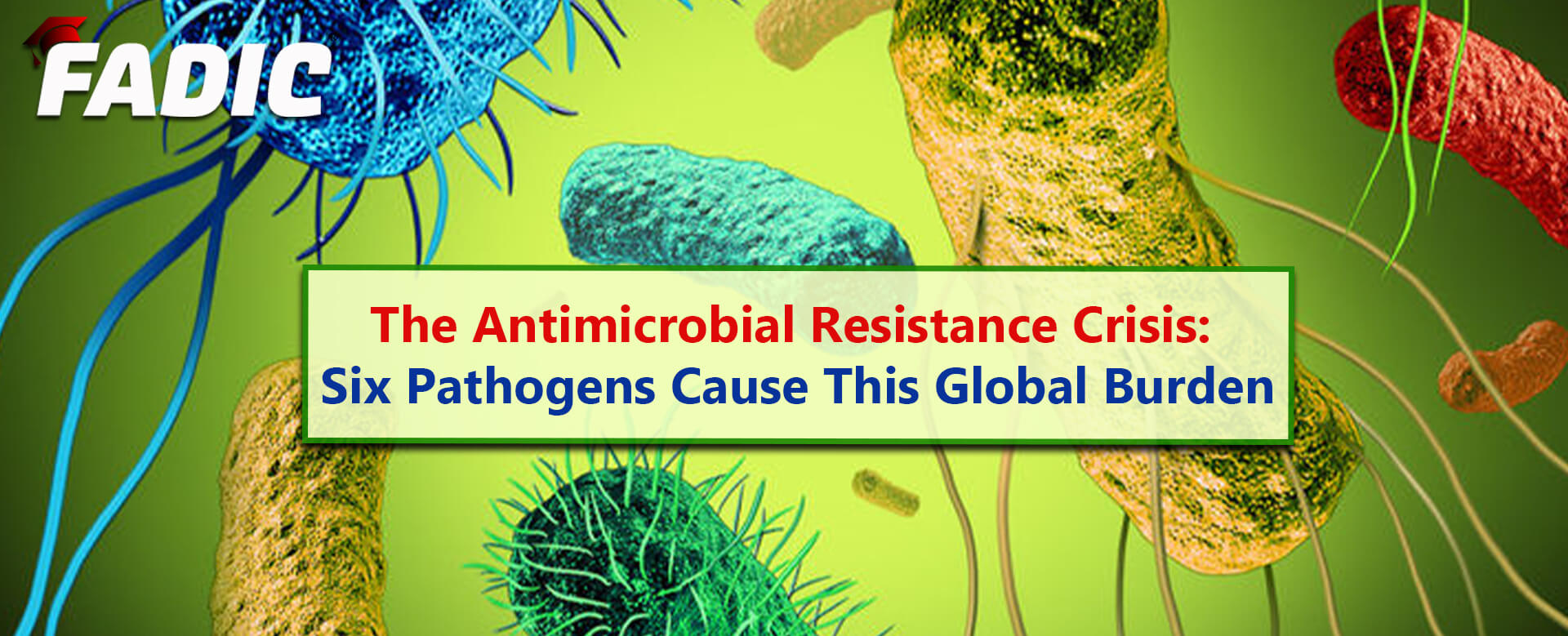 Six Bacteria Cause The Antimicrobial Resistance: The Global Threat