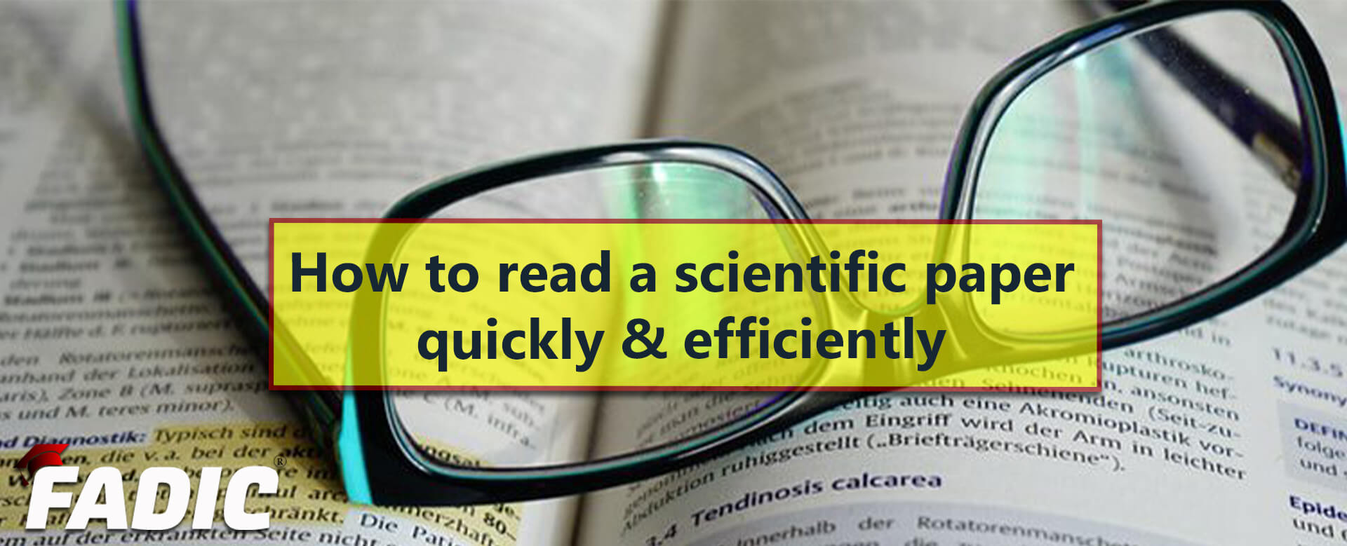 reading a research article quickly and efficiently