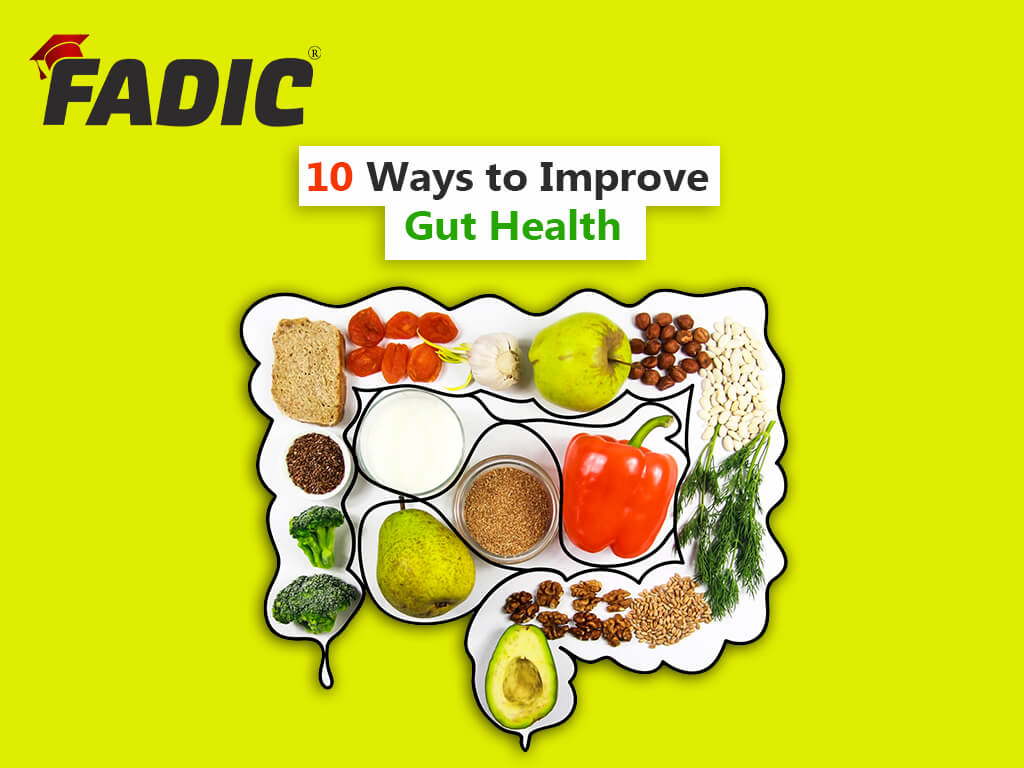 10 Methods to Enhance Intestine Well being
