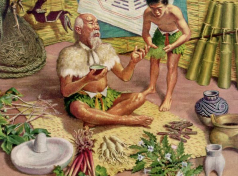 تاريخ الصيدلة على مر العصور و تطور علم الصيدلة