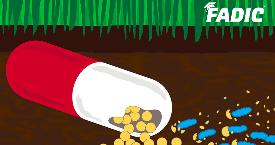 Antimicrobial Stewardship: A Practical Application