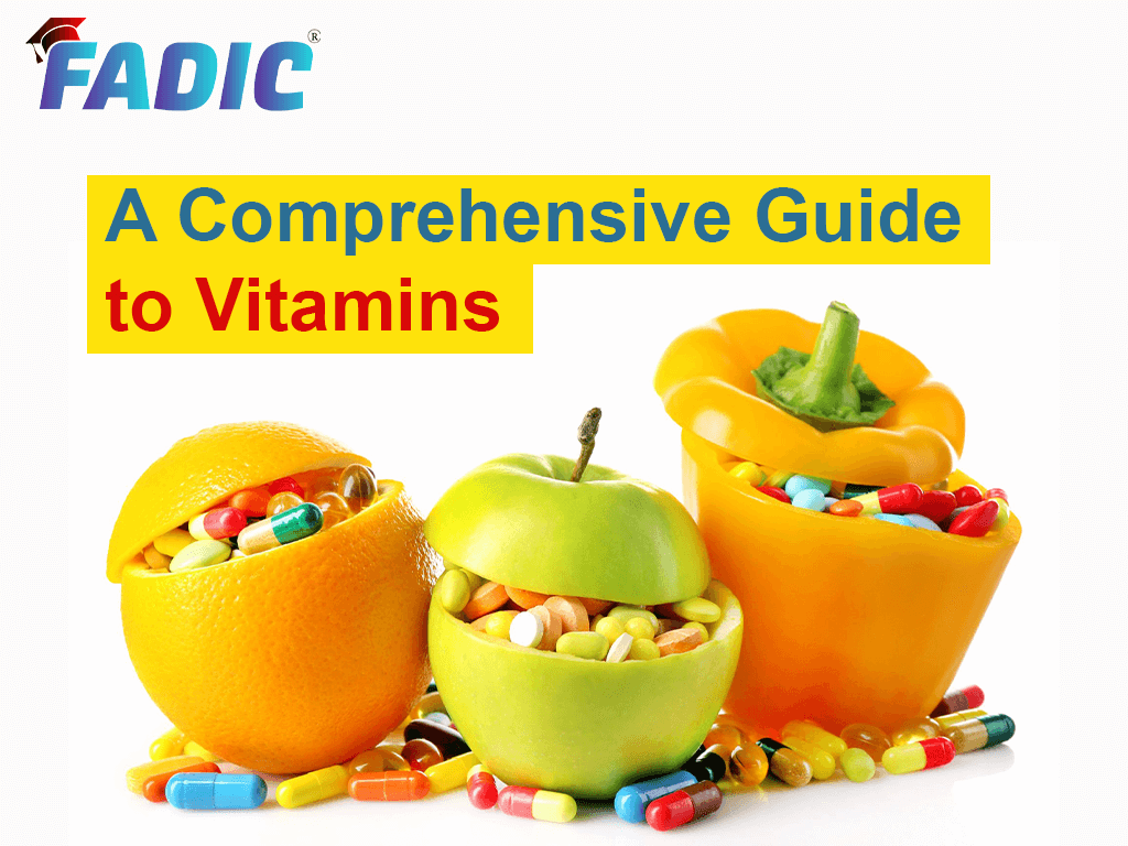 a-comprehensive-guide-to-vitamins