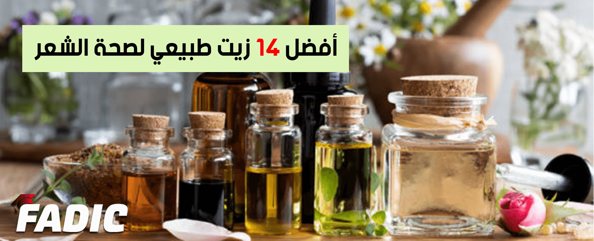 أفضل ١٤ زيت طبيعي لصحة الشعر