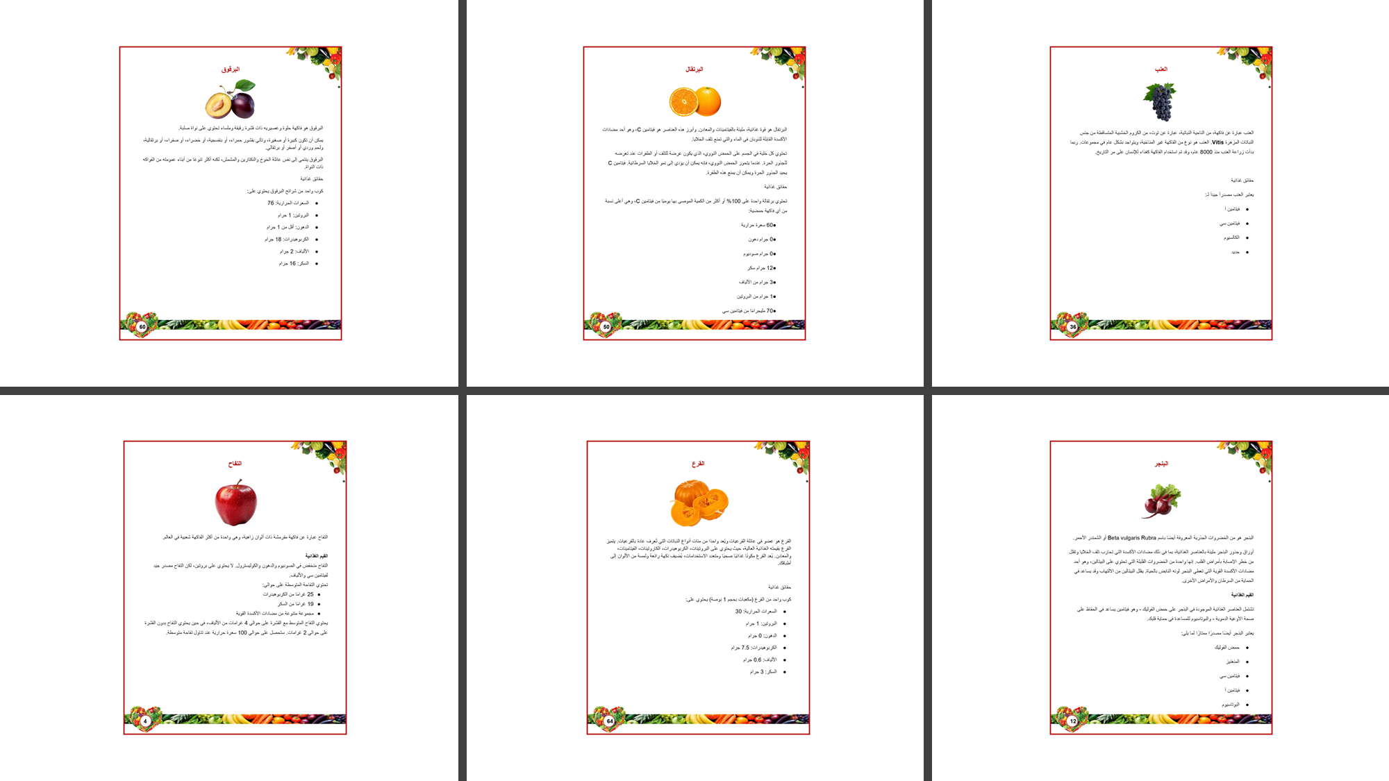 الدليل الشامل للغذاء