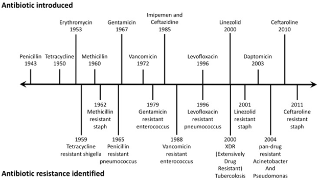Antimicrobial Resistance (AMR)